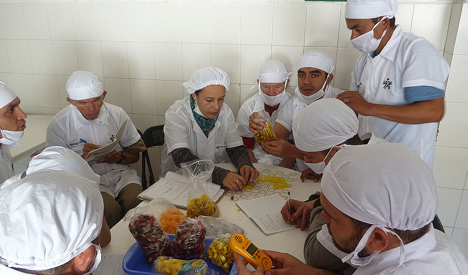 Imagen Cocineras 