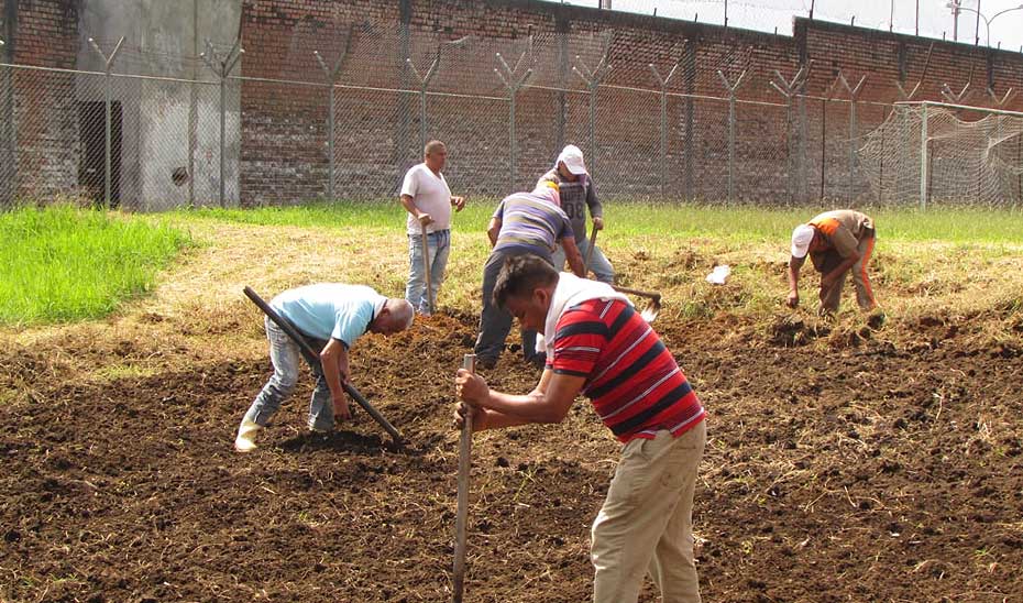 personas privadas de la libertada trabajando la tierra 