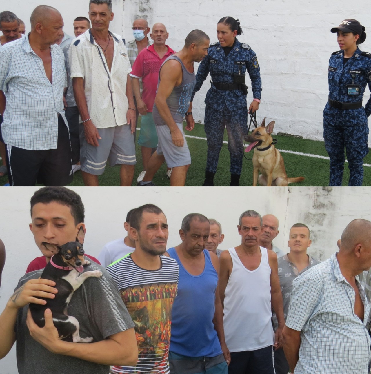 Imagen de reclusos en un actividad terapéutica con caninos 