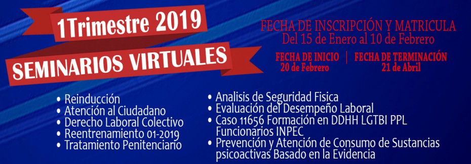 Imagen de Seminario Virtual