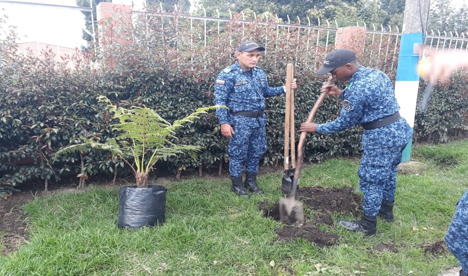 Imagen de Sebarando Plantas